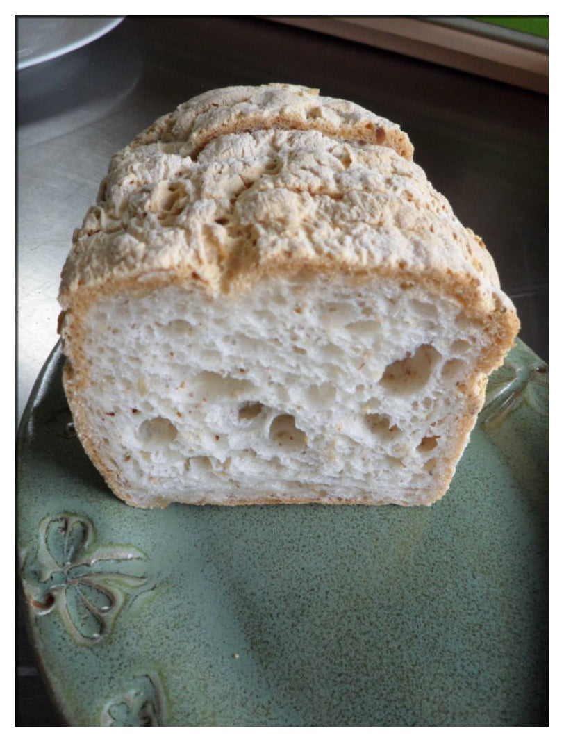 Rumi's Passion GF Multigrain Bread